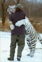 fericita! animale amuzante